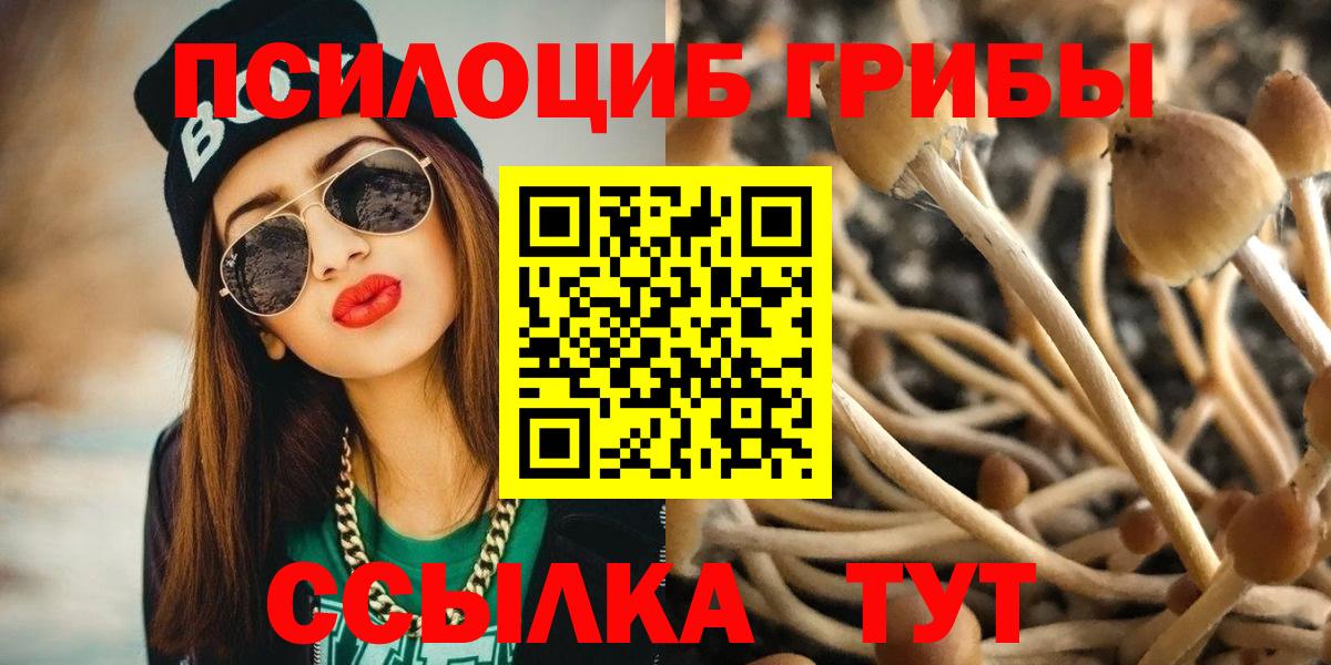 Псилоцибиновые грибы мухоморы Россия