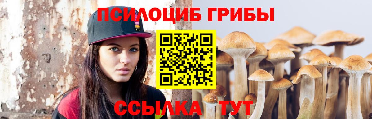 Россия  Псилоцибиновые грибы Magic Shrooms  Вход с VPN  Галлюциногенные грибы Psilocybine cubensis 