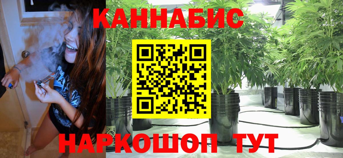 МАРИХУАНА сатива  Конопля планчик  Вход с VPN  Россия  Конопля Amnesia 